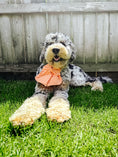 Load image into Gallery viewer, Orangey Checkered Hair Bow
