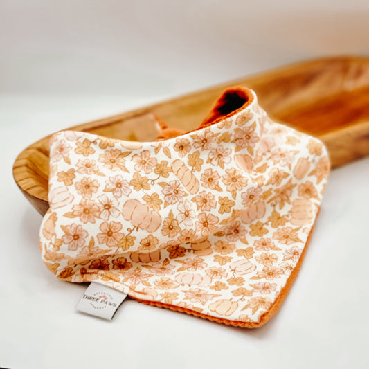 Spice of Life Dog Bandana