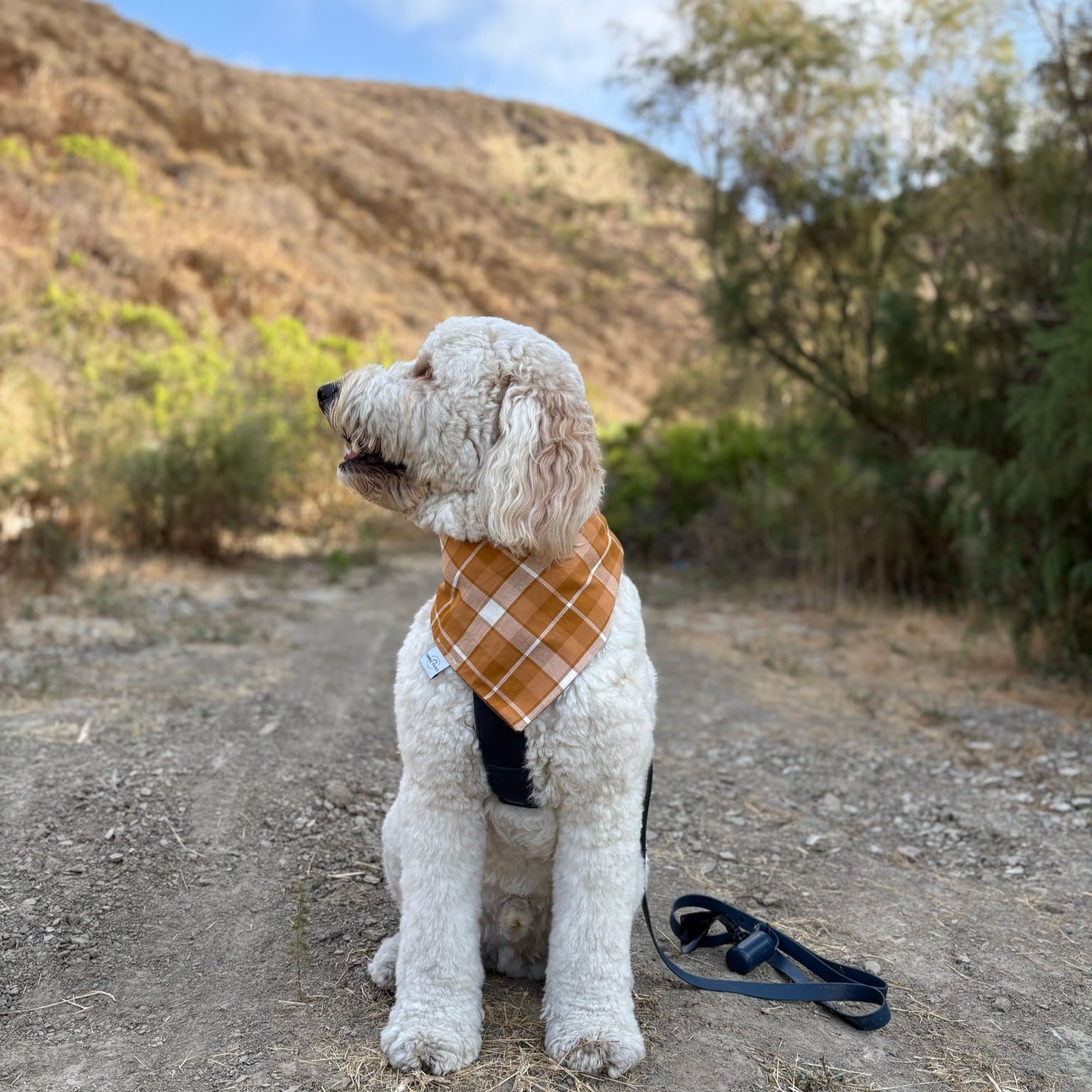 Autumn Flannel Dog Bandana