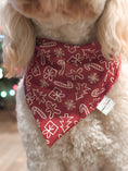 Load image into Gallery viewer, Berry Cookies Dog Bandana
