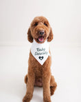 Load image into Gallery viewer, Baby Security Dog Bandana
