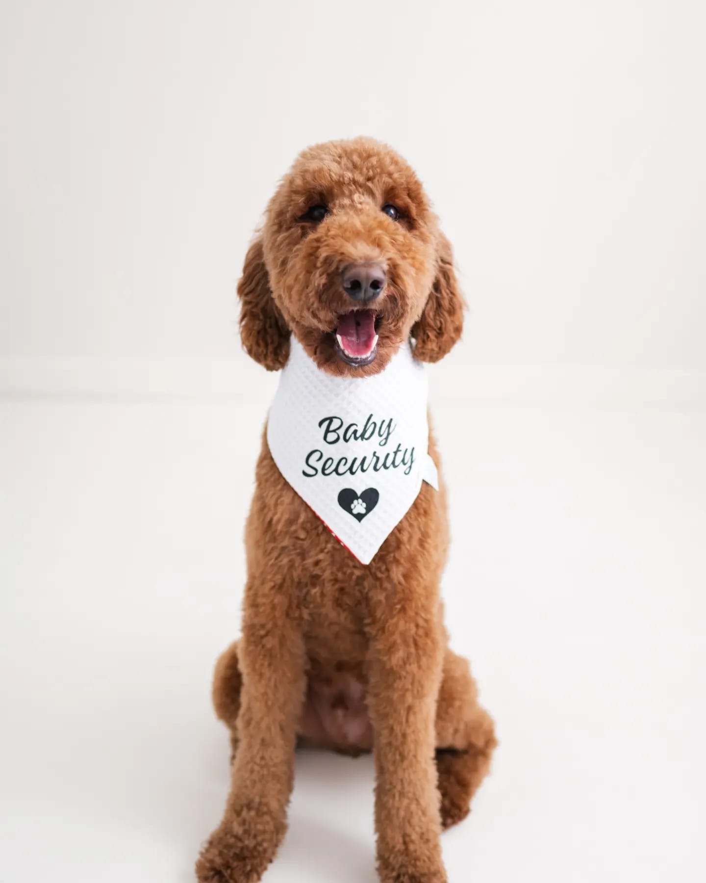 Baby Security Dog Bandana