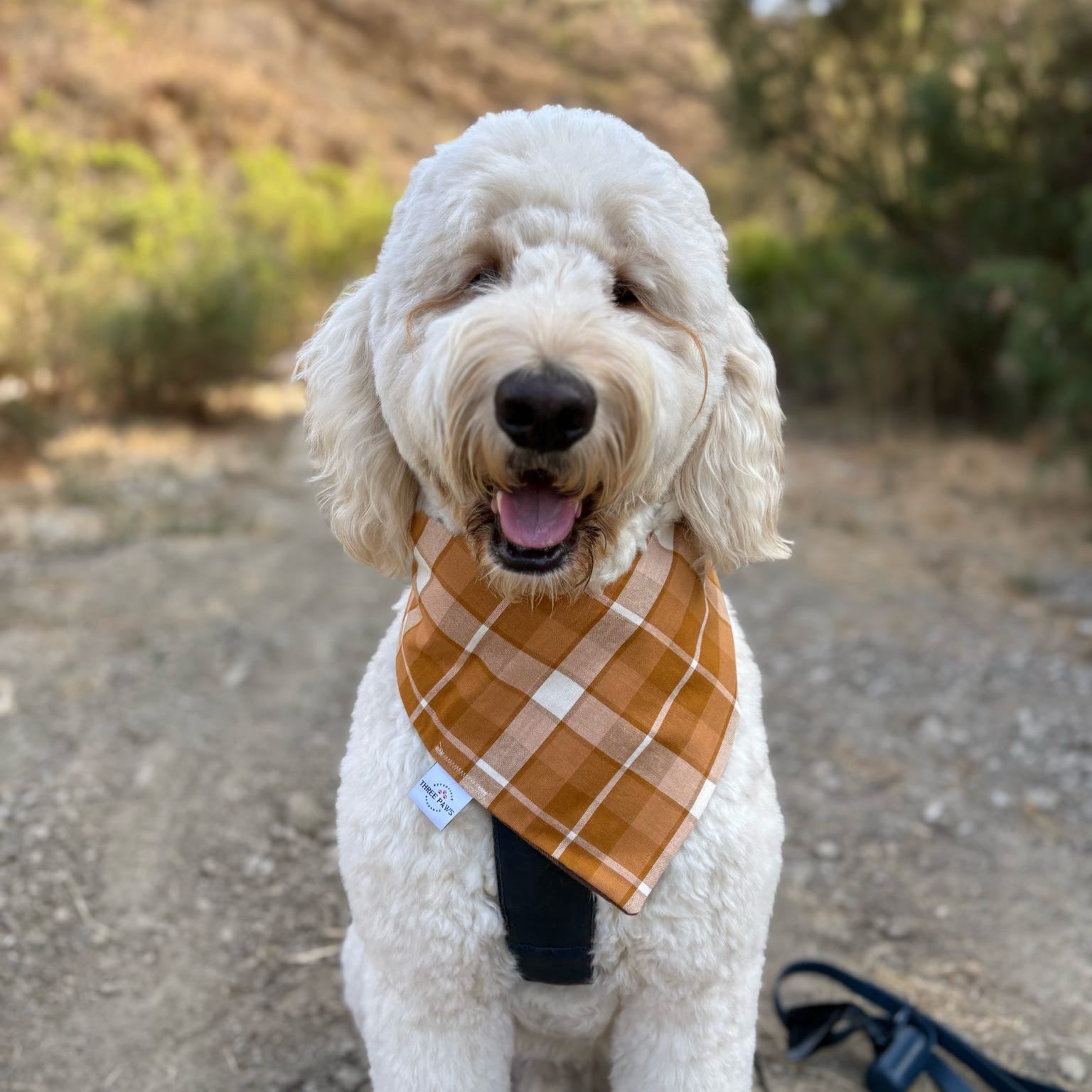 Autumn Flannel Dog Bandana