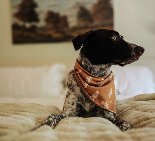 Who's your Mummy Dog Bandana