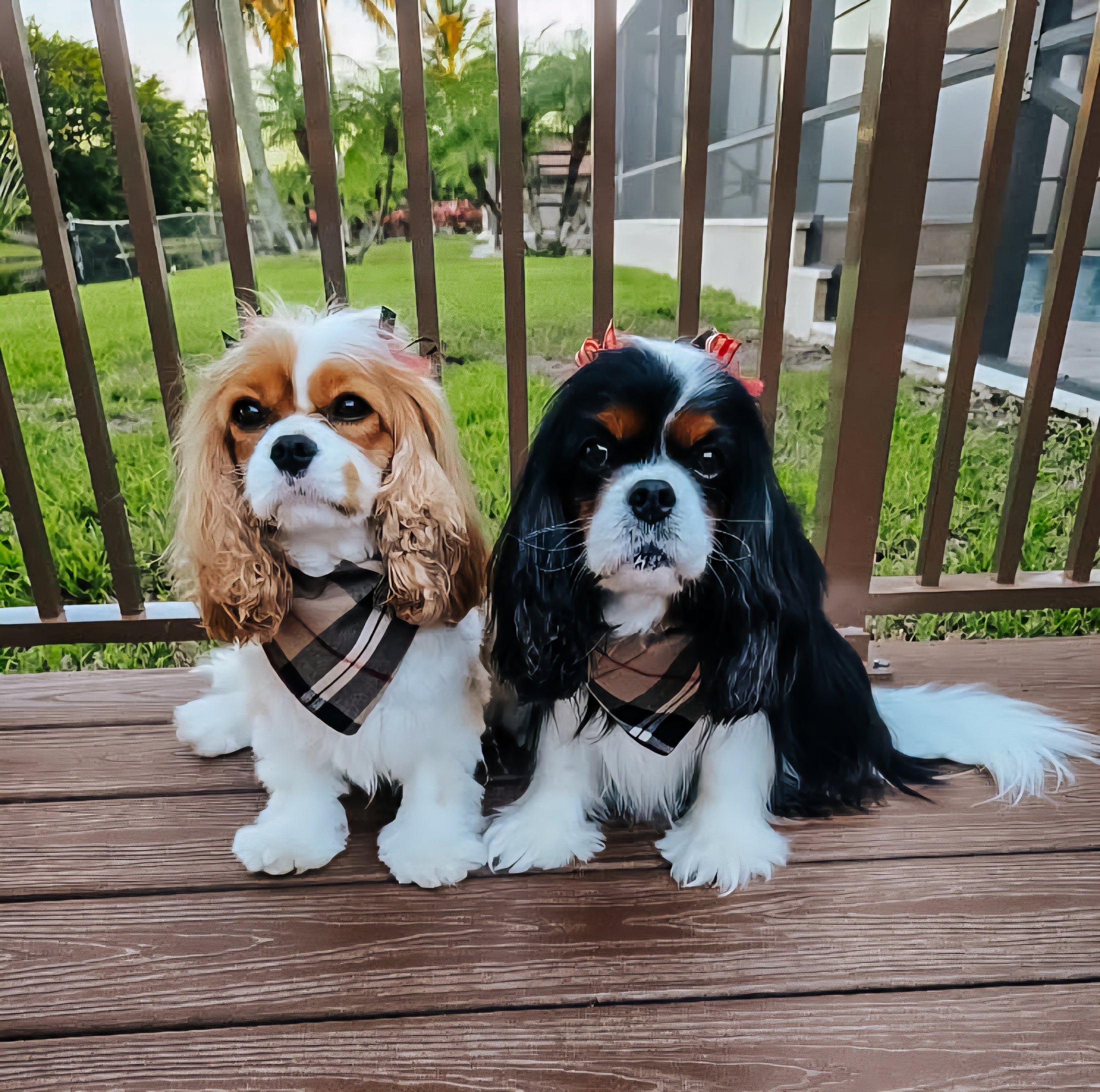 Berry Pup Flannel Dog Bandana