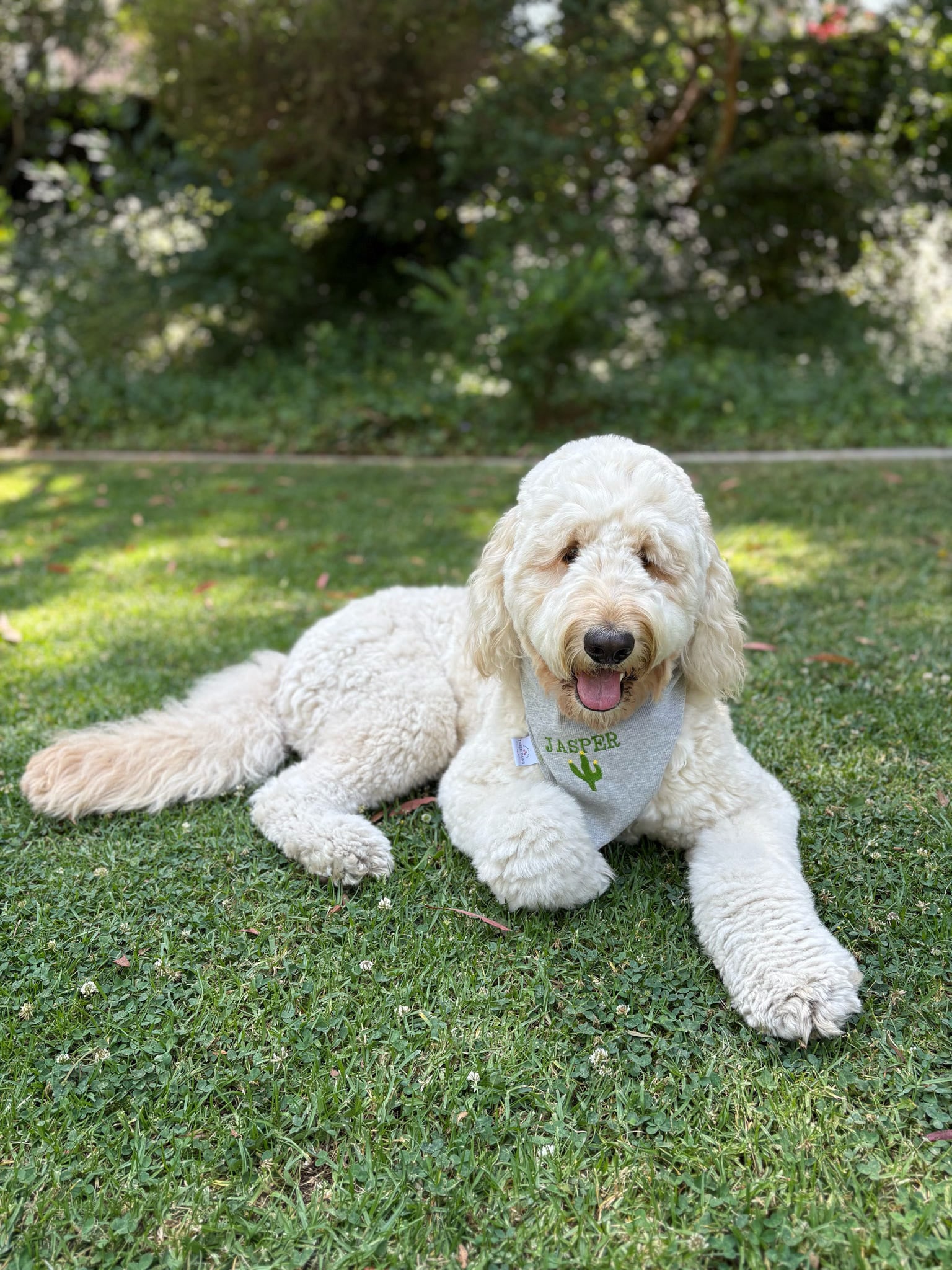 Custom Embroidered Pup Name ONLY Dog Bandana