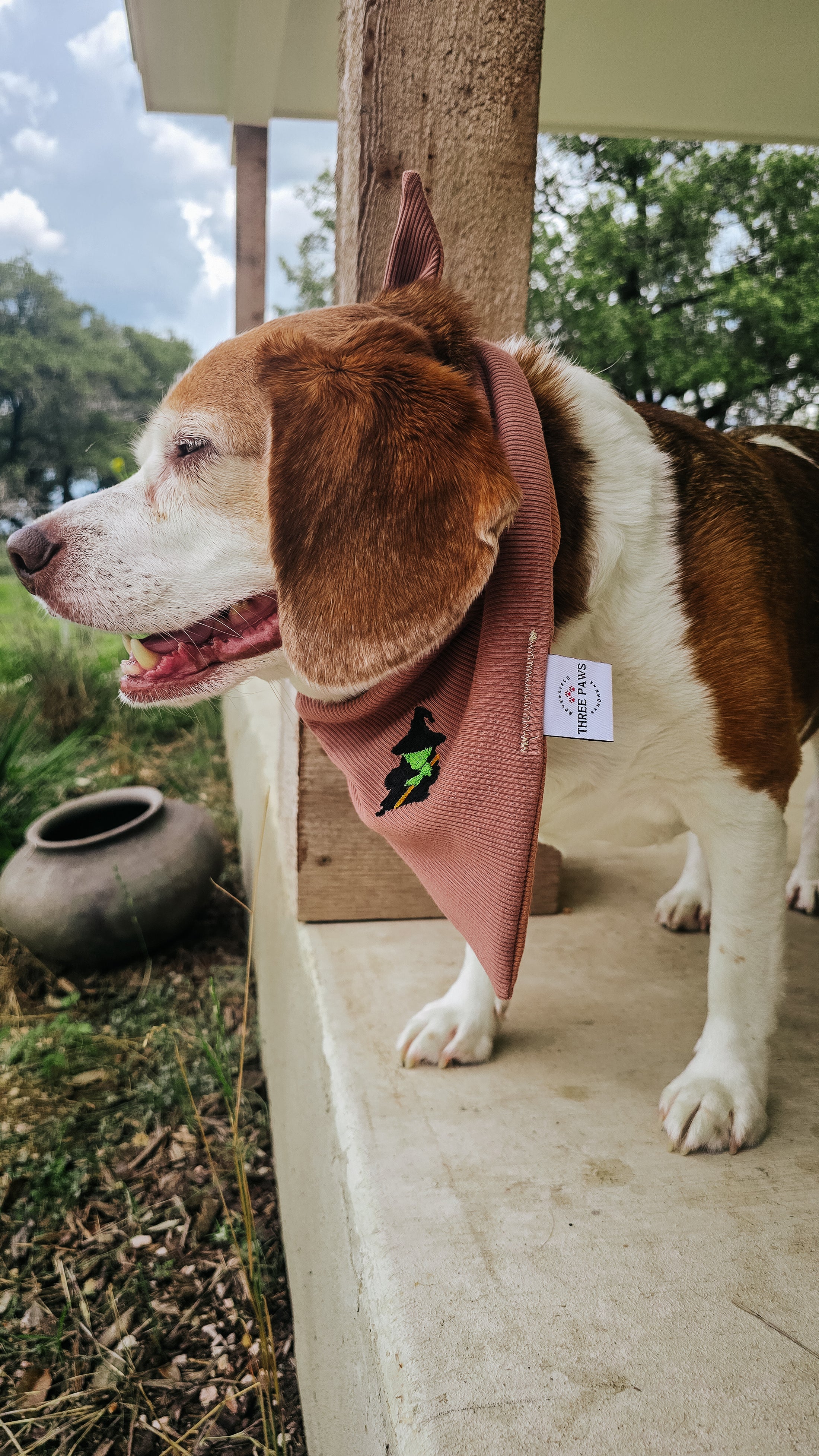 Wicked Cute Dog Bandana