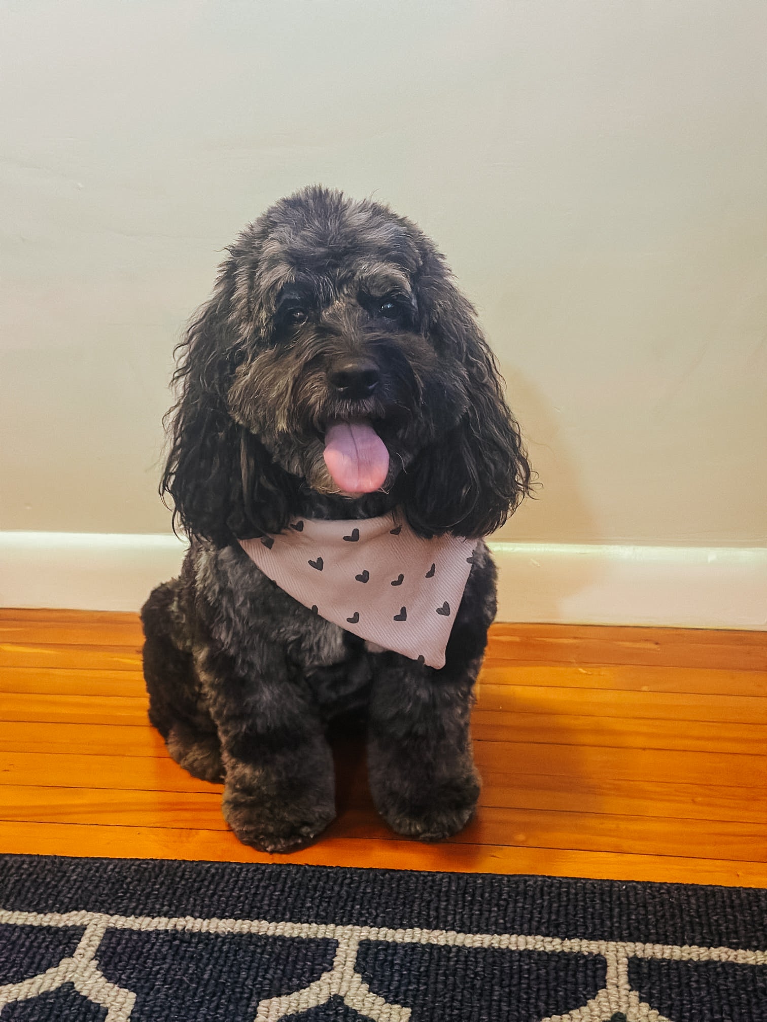 Passion heart Dog Bandana