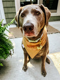 Load image into Gallery viewer, Golden Glow Dog Bandana
