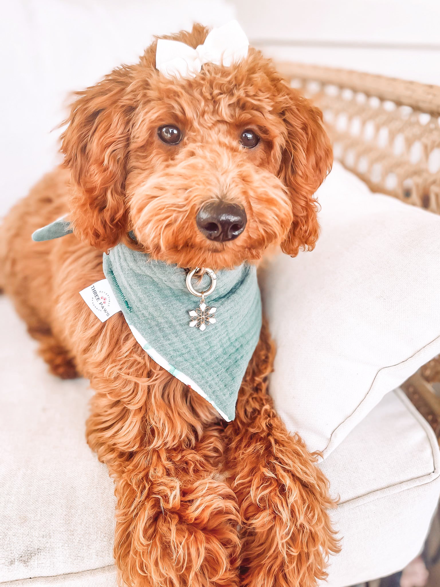 Pine Cones Dog Bandana