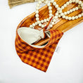 Load image into Gallery viewer, Leftovers Flannel Dog Bandana
