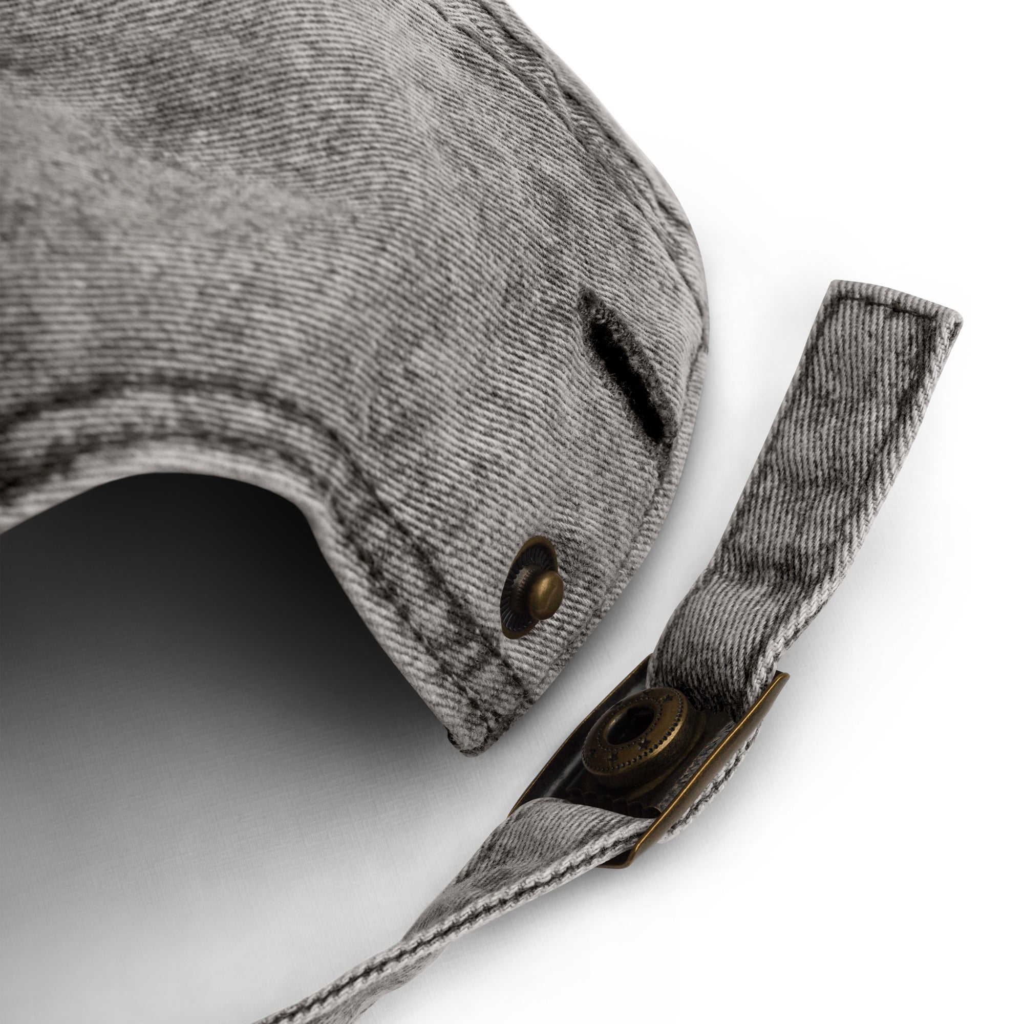 Vintage Paw Dad Hat