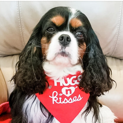 Hugs n Kisses Dog Bandana