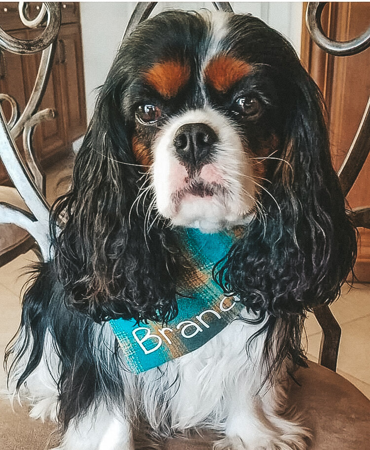 Teal Flannel Dog Bandana