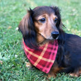 Load image into Gallery viewer, Marigold Dog Bandana
