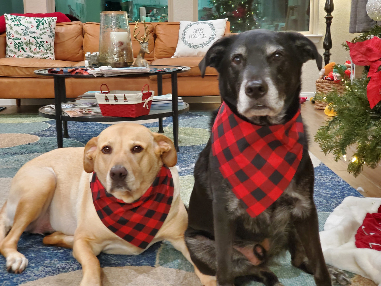 Buffalo Checker Dog Bandana