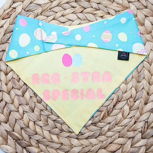 Egg-Stra Special  Dog Bandana