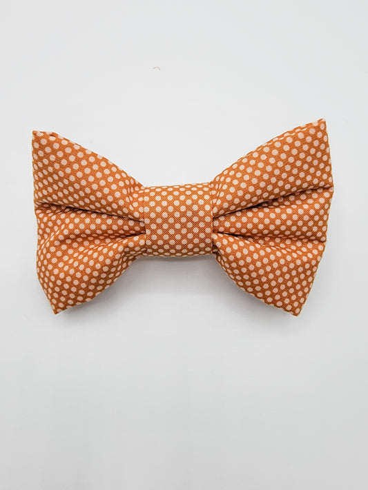 Harvest Poka Dot Bowtie