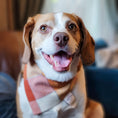 Load image into Gallery viewer, Autumn Breeze Flannel Dog Bandana
