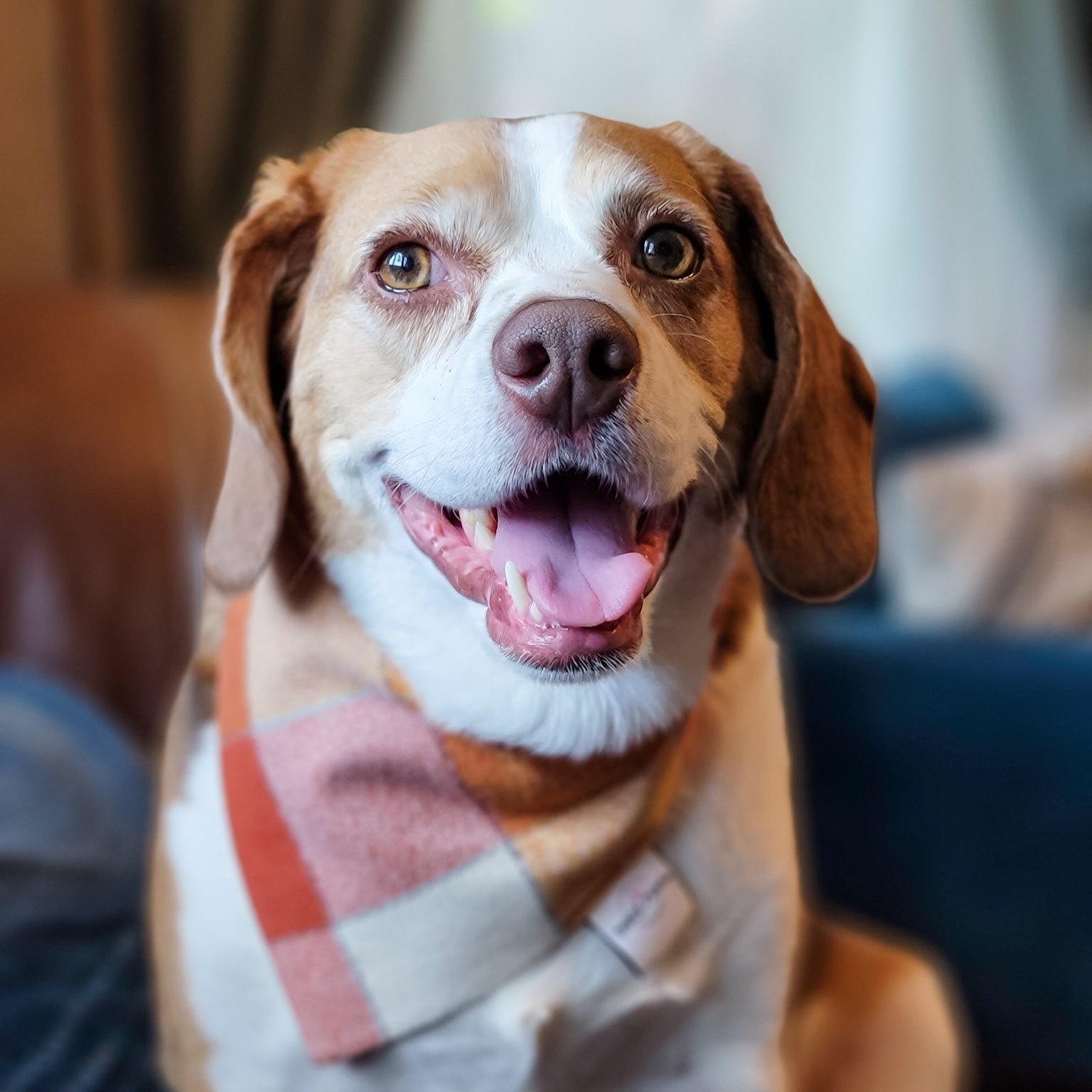 Autumn Breeze Flannel Dog Bandana