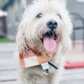 Load image into Gallery viewer, Autumn Breeze Flannel Dog Bandana
