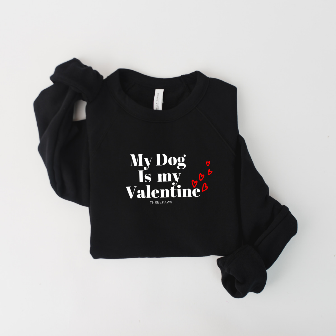 My Dog is my Valentine Shirt