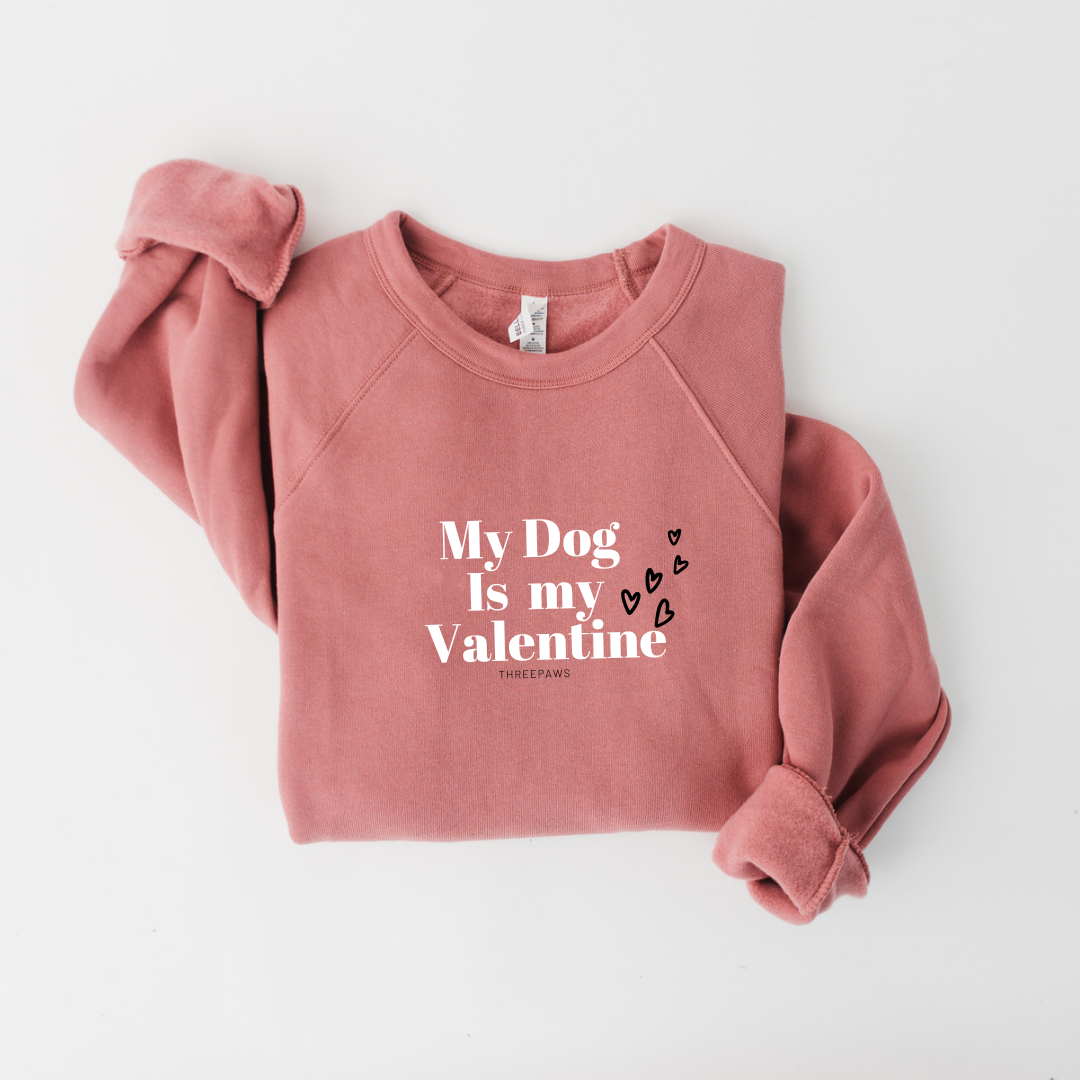 My Dog is my Valentine Shirt
