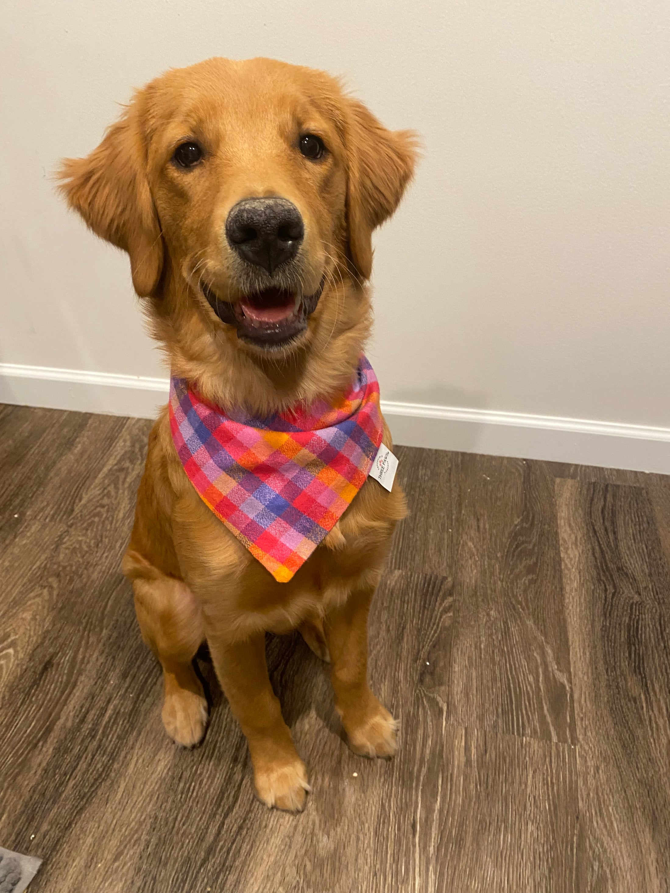 Berry Flannel Dog Bandana