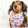 Load image into Gallery viewer, Kalediscope Dog Bandana
