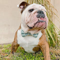 Load image into Gallery viewer, Sea Dreams Bowtie
