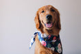 Load image into Gallery viewer, Navy Flowers Dog Bandana
