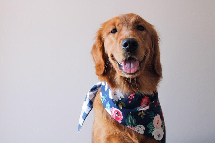 Navy Flowers Dog Bandana