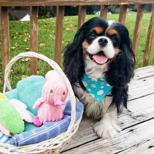Egg-Stra Special  Dog Bandana