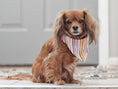 Load image into Gallery viewer, Lavender Luscious Dog Bandana
