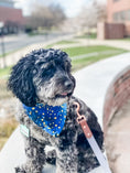 Load image into Gallery viewer, Starry Skies Dog Bandana
