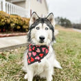 Load image into Gallery viewer, All my heart Dog Bandana
