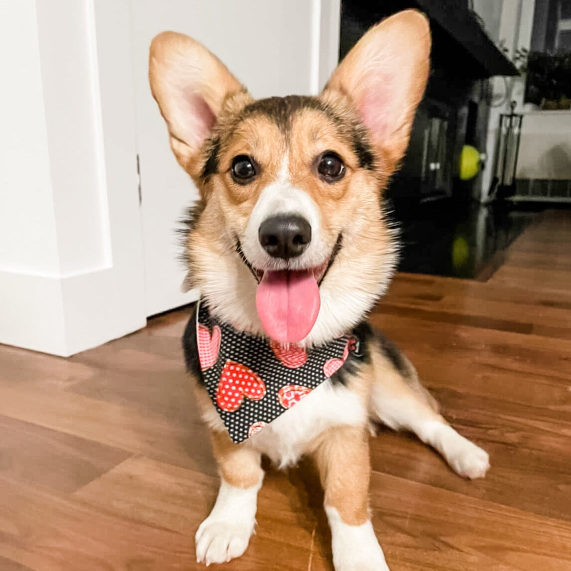 All my heart Dog Bandana