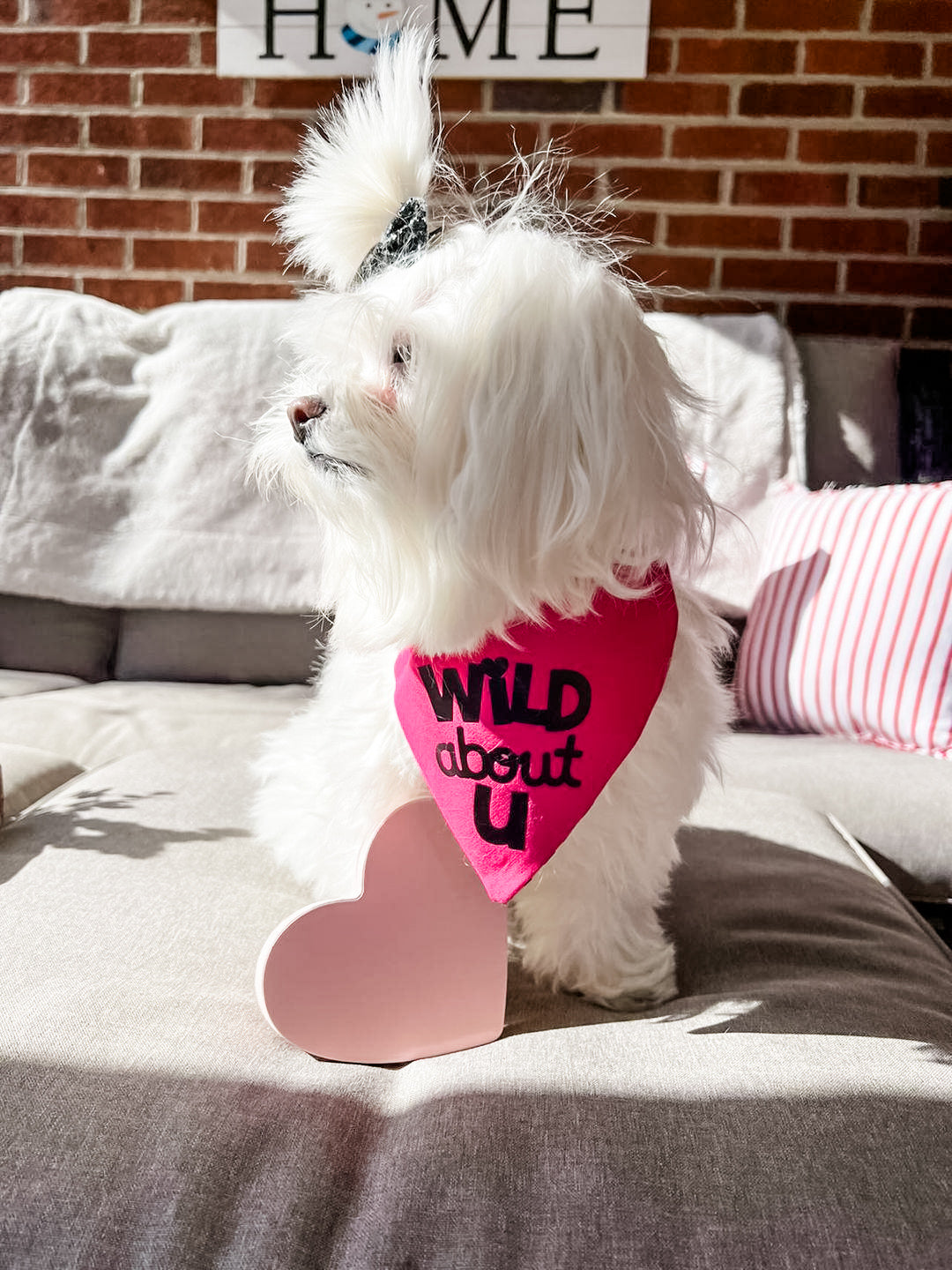 Wild about U Dog Bandana