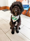 Load image into Gallery viewer, Too Cute to pinch Dog Bandana

