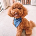 Load image into Gallery viewer, All American Dog Bandana
