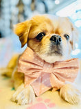 Load image into Gallery viewer, Rustic Pink Hair Bow
