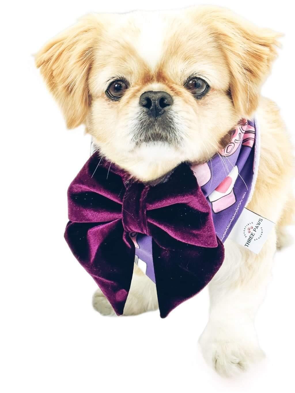 Xs best sale dog bandana