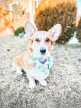 Load image into Gallery viewer, Pot of Gold Dog Bandana
