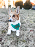 Load image into Gallery viewer, Pot of Gold Dog Bandana
