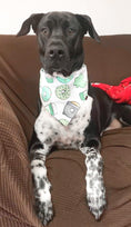 Load image into Gallery viewer, Pot of Gold Dog Bandana
