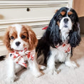 Load image into Gallery viewer, Marguerite Flower Dog Bandana
