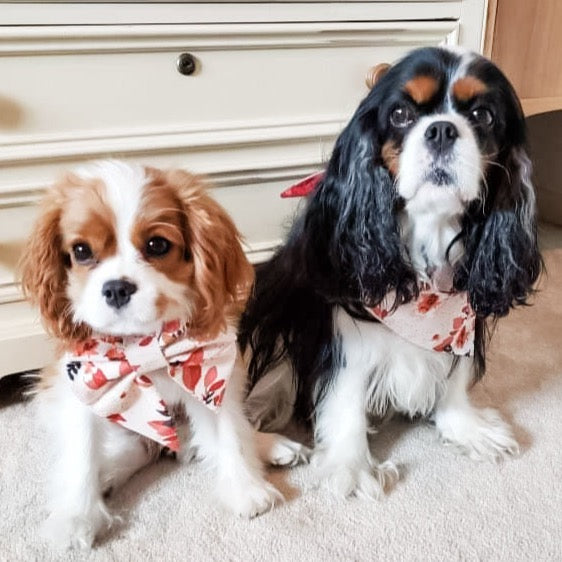 Marguerite Flower Dog Bandana