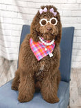 Load image into Gallery viewer, Berry Flannel Dog Bandana
