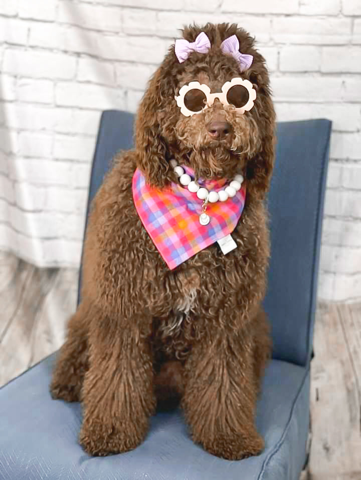 Berry Flannel Dog Bandana