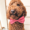 Load image into Gallery viewer, Burgundy Bowtie

